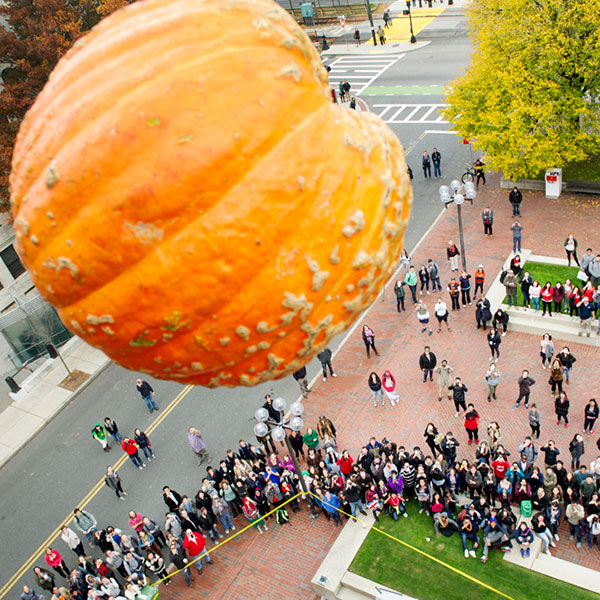 What's the Pumpkin Drop?