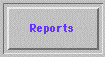 project reports