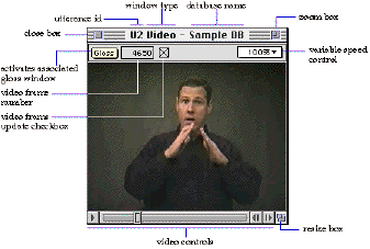 illustration of SignStream screens