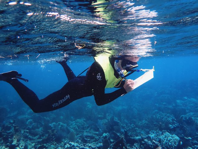 Cecelia diving and studying coral.