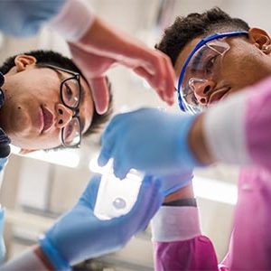 Boston high school students work on a sickle cell experiment as part of the Youth to Health Careers (Y2HC) program at the Boston University School of Medicine.