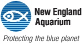 NeAq logo