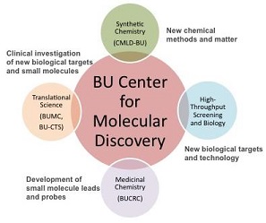 Image result for Department of Chemistry and Center for Molecular Discovery (BY-CMD),