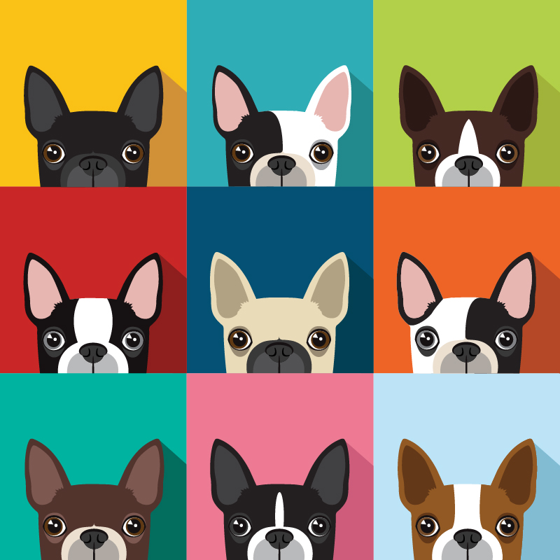 Compliance Partners Terriers in a 3x3 multicolored panel board showcasing multiple cartoon terriers with colorful backgrounds