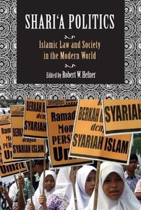 law and politics