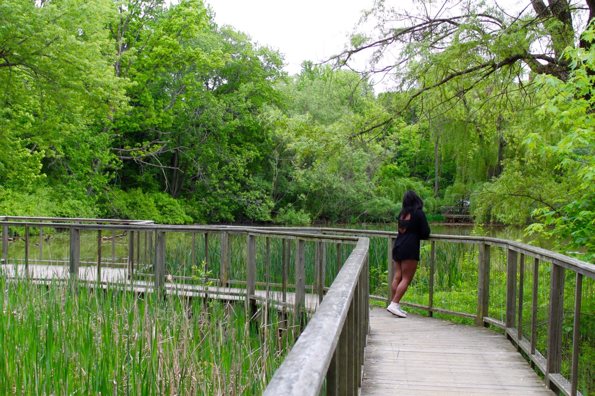 A BU student takes a walk through a cool and calm area of Brookline.