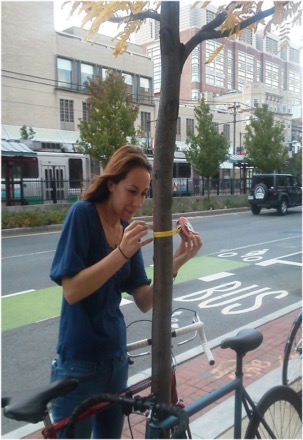 As part of her research, Drake walked over 70 km across Boston's neighborhoods measuring trees. Photo by Lucy Hutyra