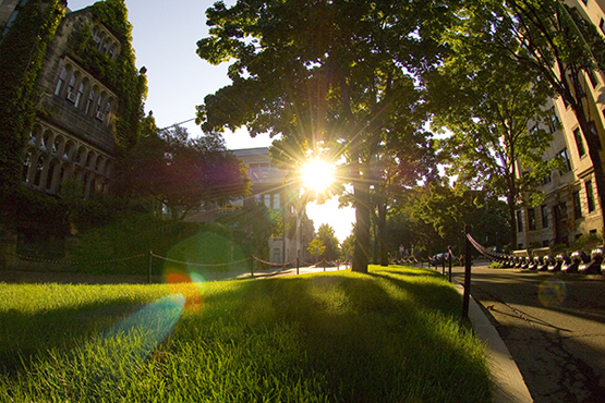 Boston University Professors Program