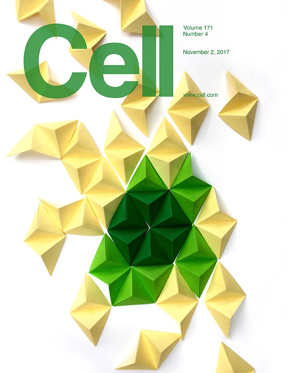 The cover image from Cell illustrates the assembly of origami “proteins” into an ordered aggregate, producing detectable changes in color. Cover artwork by Katie M. Flynn.