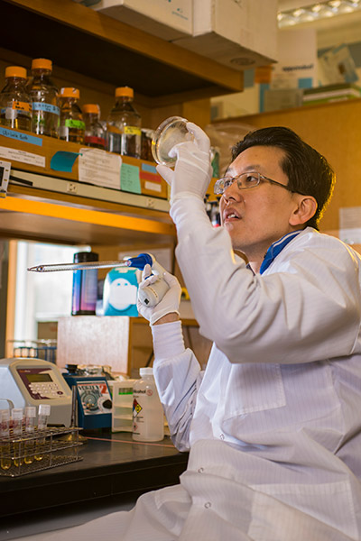 Assistant Professor Wilson Wong (BME) has found a better way to program mammalian cells as genetic circuits. Photo by Mike Pecci