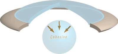 cohesive viscoelastic