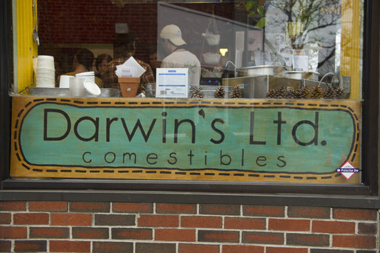 Darwin's Ltd., Cambridge, Boston lunch restaurants