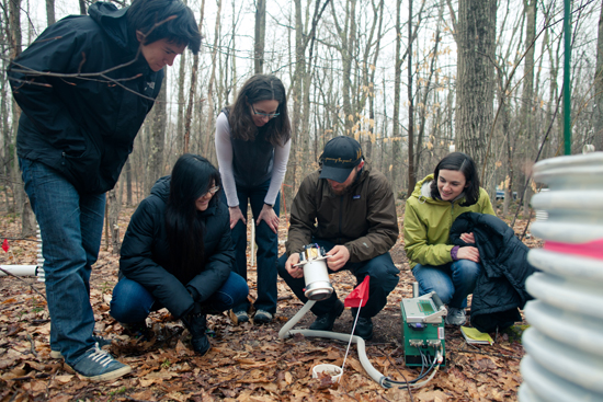 Measuring soil respiration rate in Harvard Forest, Pam Templer, Boston University college of arts and sciences, biology, experimental forest