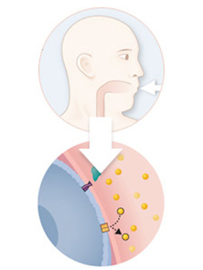 Another Look at Diabetes diabetes metabolism research