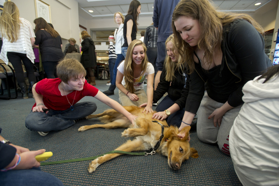 Boston University BU, stress reduction finals week, dog therapy, yoga, center for student services, study tips