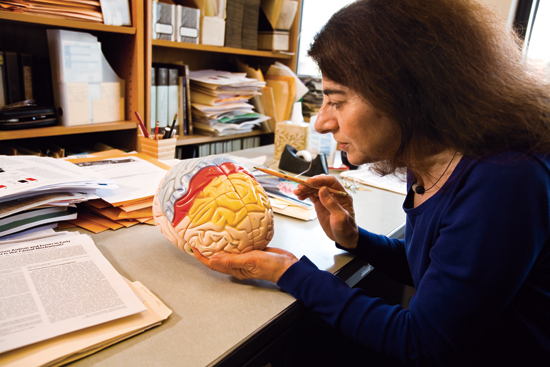 Professor Helen Barbas, Sargent College SAR Neural Systems Laboratory, Boston University BU