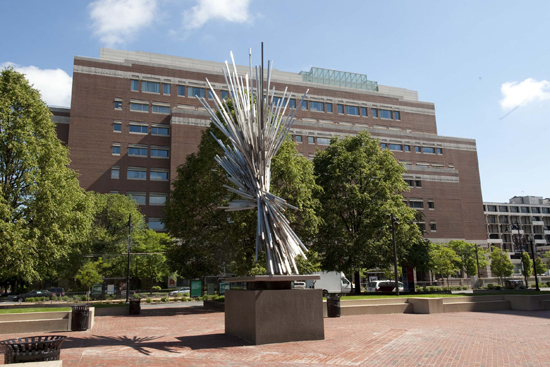 Boston University BU, The Boston Art Commission, Mayor Thomas Menino, Public Art Walks, Leif Eriksson by Anne Whitney, Boston Public Library North End Mosaics, Make Way for Ducklings Nancy Schӧn, outfoor art sculpture