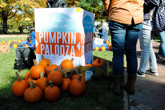 Boston University BU, Pumpkin Palooza, Community Service Center CSC, student life, halloween, pumpkin carving