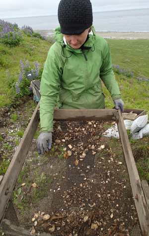 Catherine West, professor of archaeology, Boston University College of Arts and Sciences, CAS, climate change research, Chirikof Island, Kodiak Archipelago, climate change