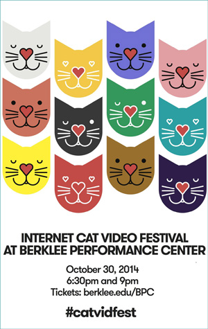 The Internet Cat Video Festival has curated the best online feline antics into an offline 70-minute show. Photo courtesy of Berklee Performance Center