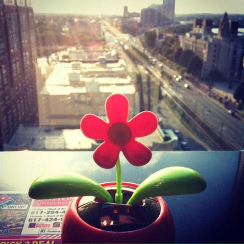 #oneBU photo contest, Anapatricia Maldonado #oneBU photo contest