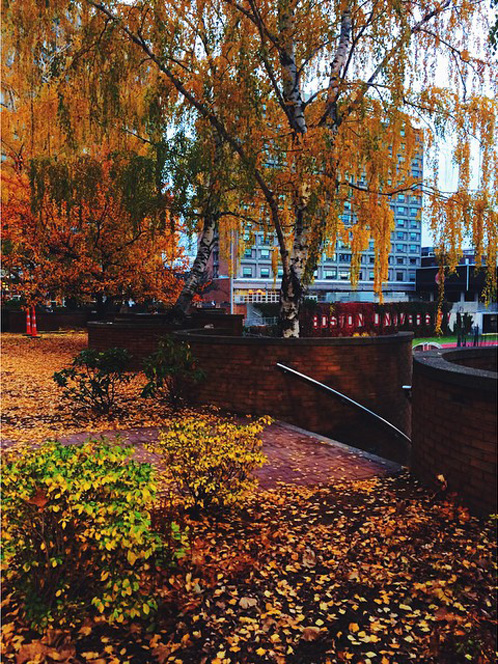 #oneBU photo contest, Breanna Allen #oneBU photo contest