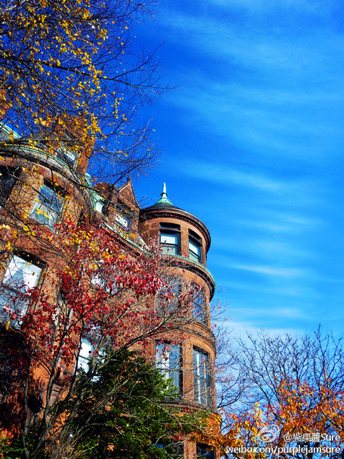 #oneBU photo contest, Shuo Wang #oneBU photo contest