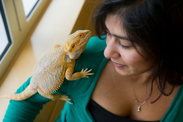 Natasha Khatri and her pet bearded dragon Ricco