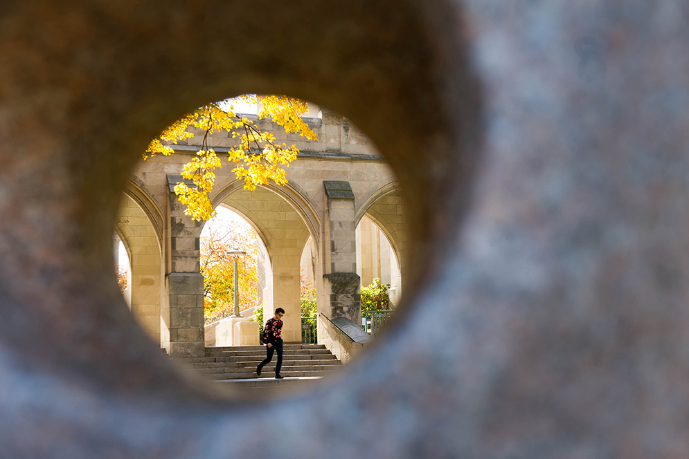 Backlit trees as viewed through a sculpture between Marsh Chapel and LAW November 4, 2015. Photo by Cydney Scott