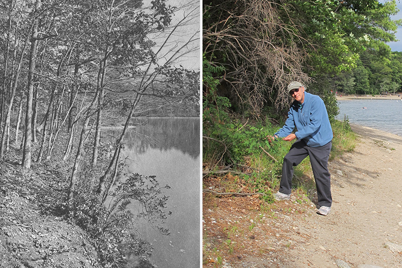 Side by side comparison of historical and current photos of Walden Pond showing high and low water levels