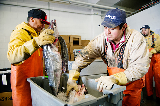 Workers on the job at Red’s Best, a Boston seafood wholesaler