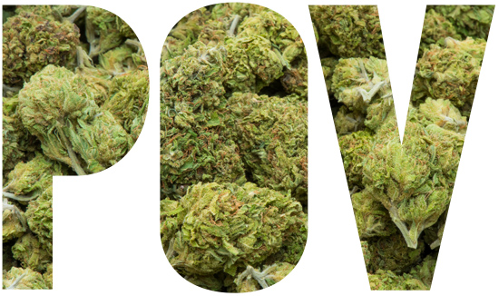 pile of marijuana buds, weed, pot