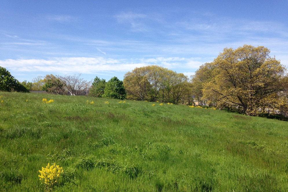 Great Places for Hiking in around Boston BU Today University