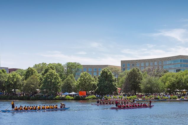 Dragon boats on Charles River