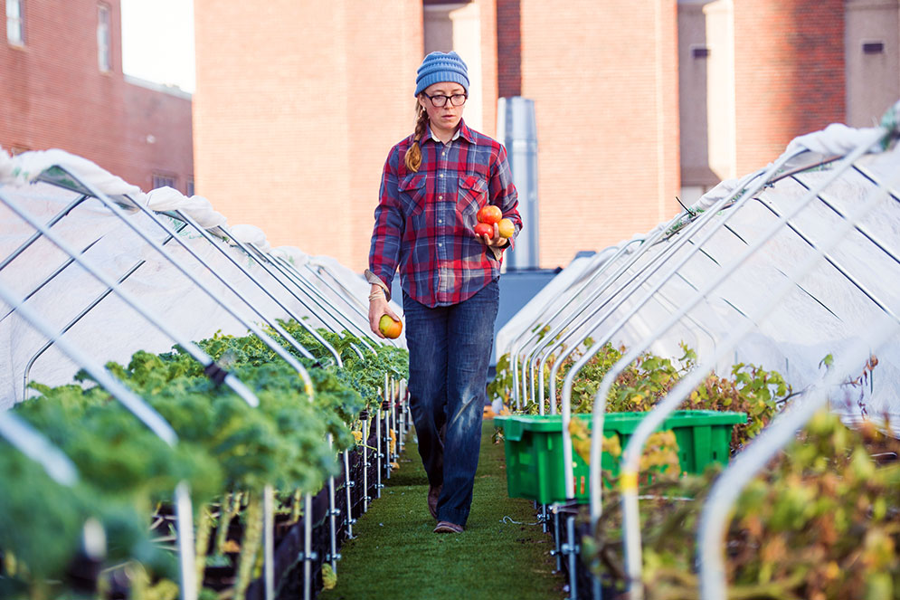 Farm manager Lindsay Allen (above) says the University’s affiliated teaching hospital started the farm atop BMC’s power plant “to provide superlocal, organic produce” for patients and staff and to reduce the environmental costs of procuring food.