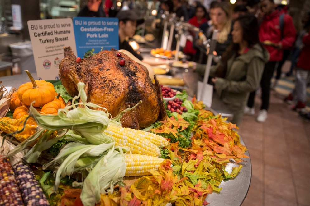 A festive platter featuring colorful fall leaves, corn on the cob, pumpkins, and a giant turkey.
