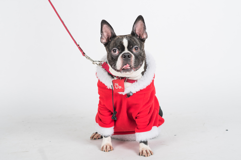 Nicky Eleuteri in his ugly holiday sweater