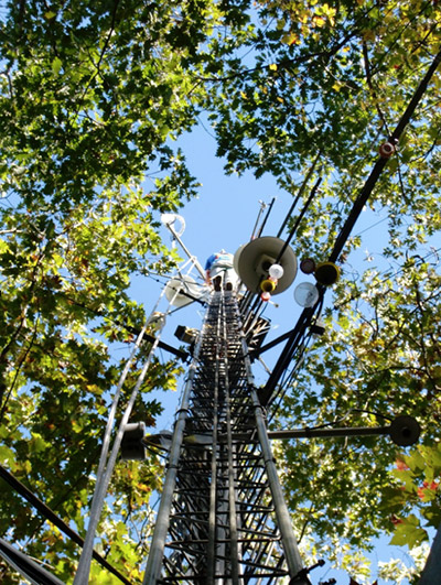 Harvard Forest houses the world’s longest-running eddy flux covariance tower—an instrument that measures the forest’s uptake and release of various trace gases including carbon dioxide. Photo courtesy of the University of Arizona