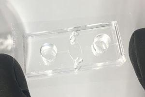 The blood vessel on the chip