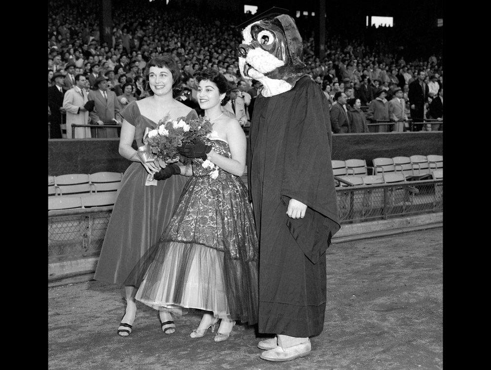 Rhett the Terrier poses for a photo with the Homecoming Queen in 1956.