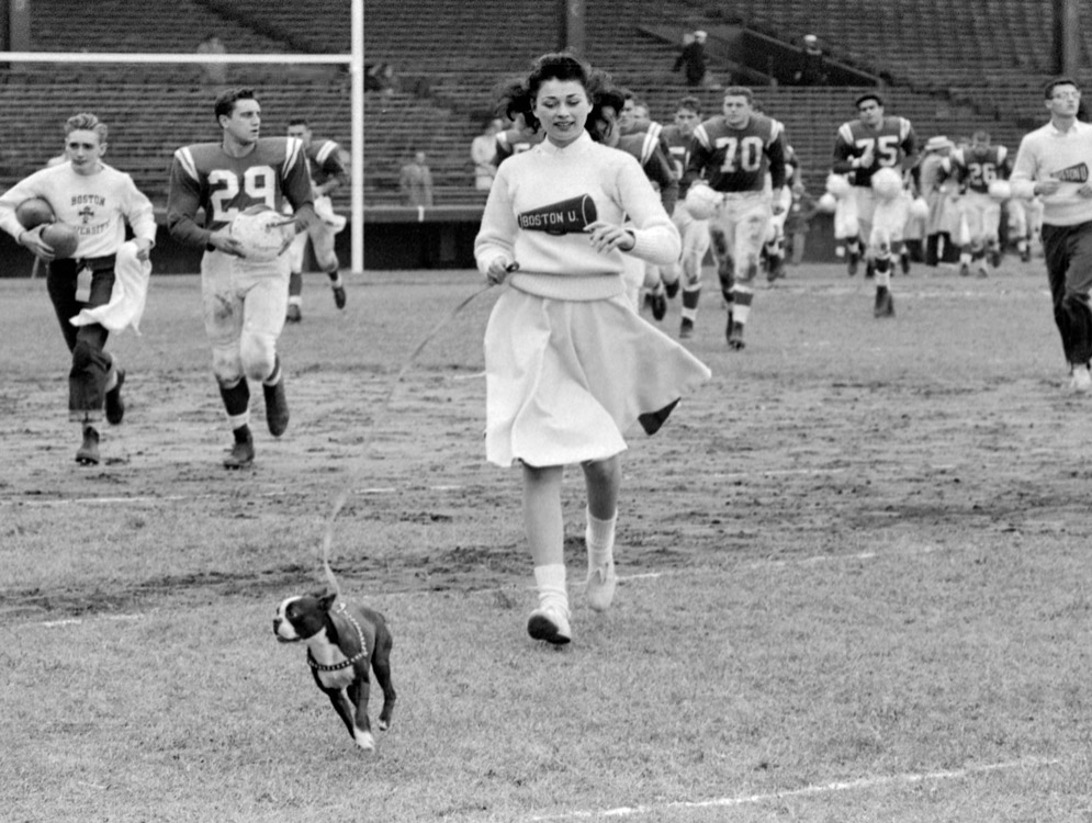 Cheerleaders and football players run onto Nickerson Field lead by Boston Terrier Rhett in 1960