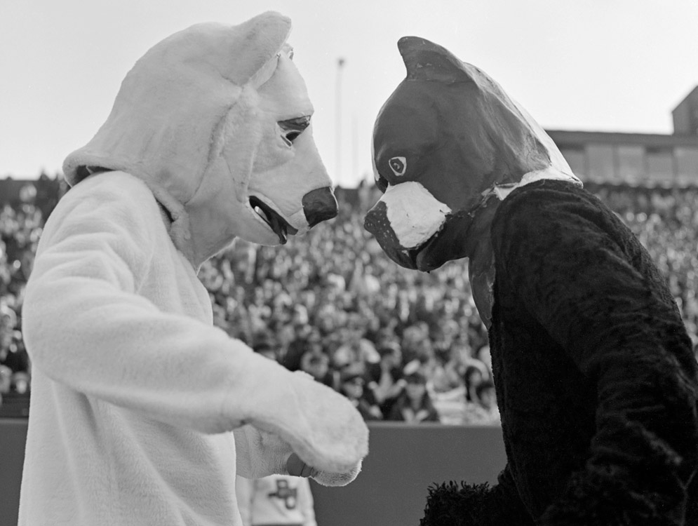 BU mascot Rhett the Terrier faces off with UConn mascot Jonathan the Husky during a game in 1965