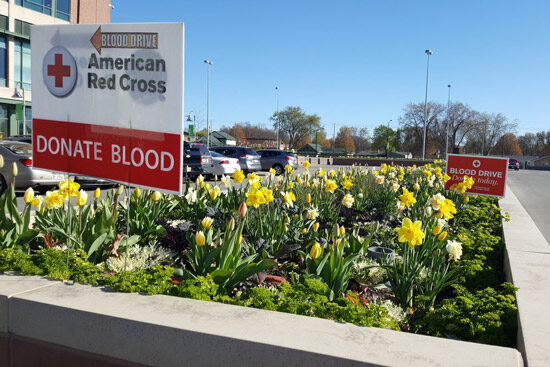 sign pointing to blood drive