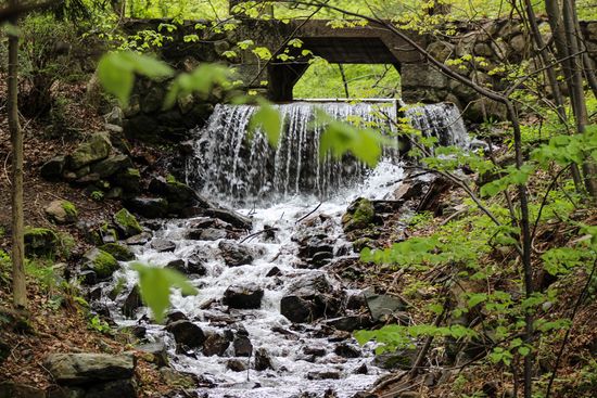 Spot Pond Brook in spring at Middlesex Fells Reservation