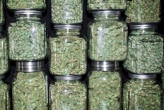 marijuana in jars