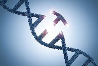 Concept image showing a gene with a chunk taken out of it representing gene editing