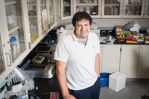 Michael Albro, an assistant professor at the College of Engineering, is working to develop innovative growth factor delivery strategies to overcome several of the major challenges in cartilage tissue engineering. Photo by Jackie Ricciardi