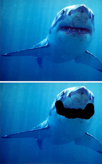 Diptych showing a photo of White Shark swimming in the ocean on top, and the same White Shark photo below with a smile drawn over the shark's mouth.