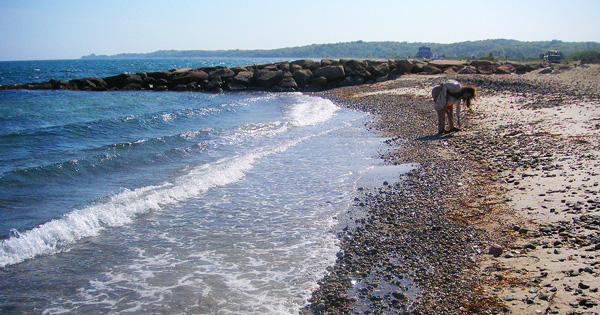 Three Perfect Cape Cod Day Trips, BU Today