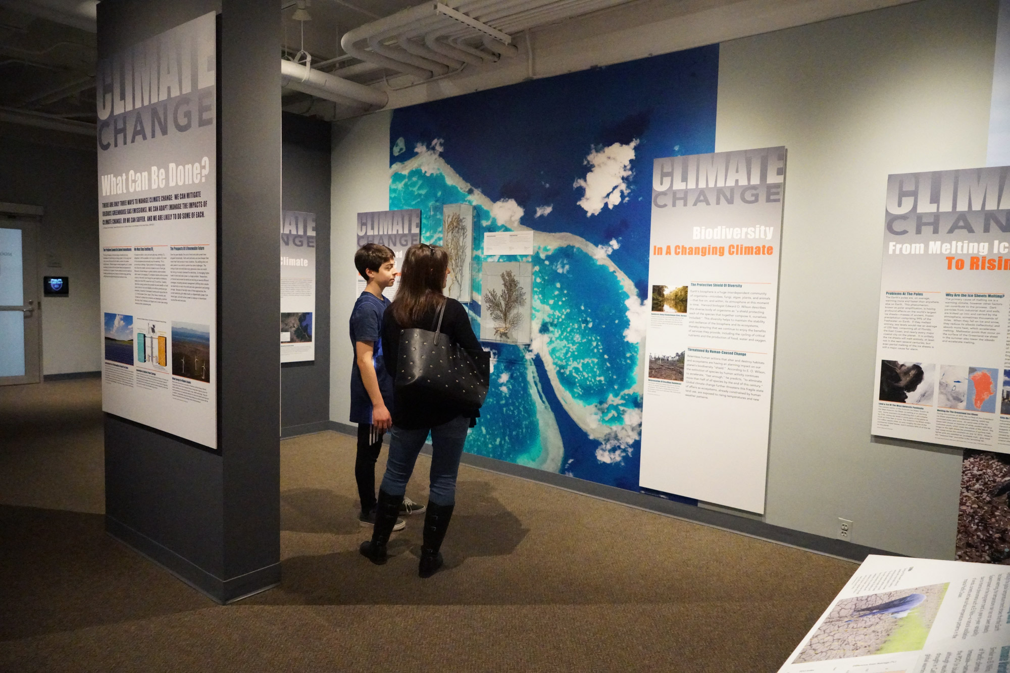 To Do Today See Inside the Human Body at the Museum of Science’s Body